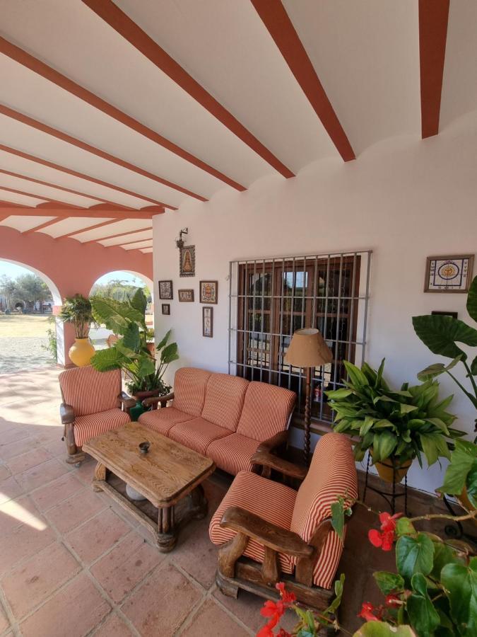 Finca exclusiva (10.000m2) para 10-17 personas Sevilha Exterior foto