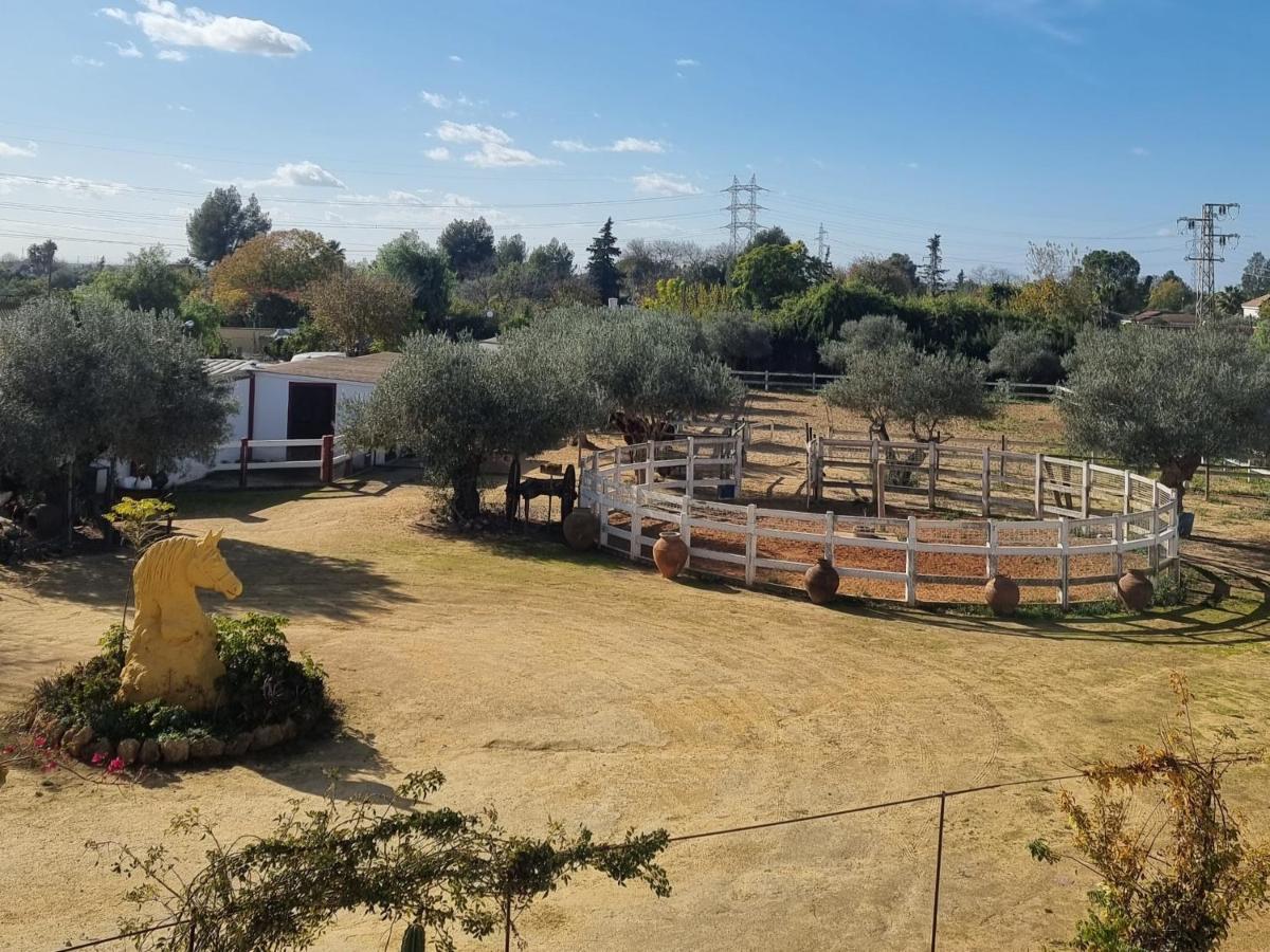 Finca exclusiva (10.000m2) para 10-17 personas Sevilha Exterior foto